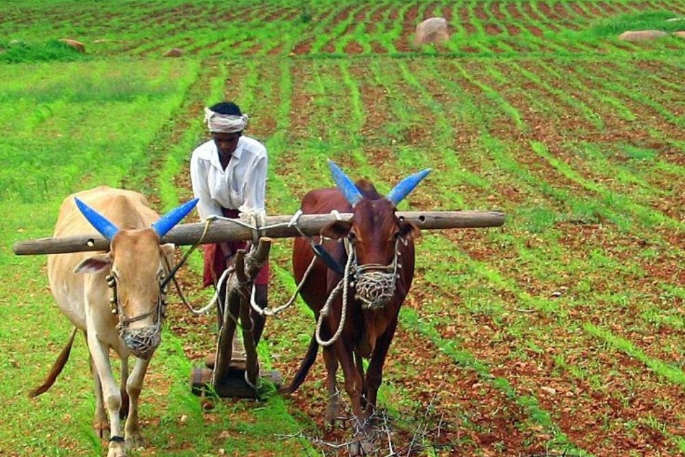 Agriculture
